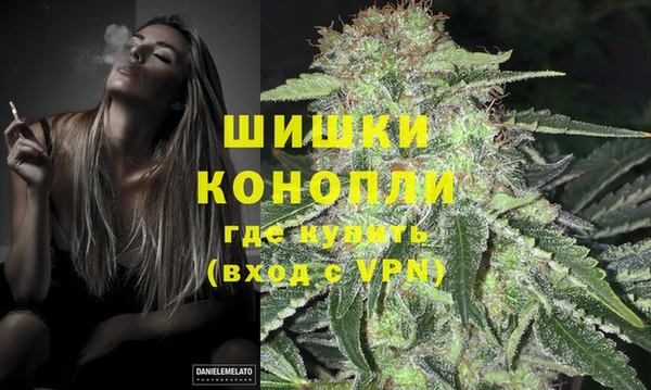 apvp Новозыбков