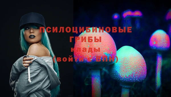 ECSTASY Новокубанск