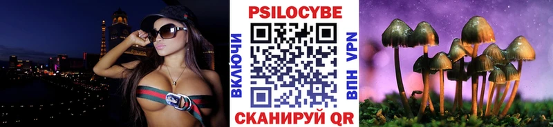Галлюциногенные грибы Psilocybe  хочу наркоту  Питкяранта 