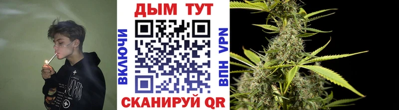 Конопля план Питкяранта